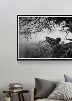 Βάρκα πιασμένη από το δέντρο