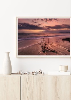 Κλαδί ξεβρασμένο στην ακτή