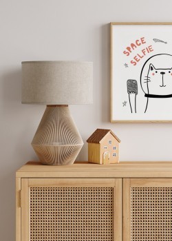 Γάτος στο διάστημα