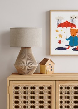 Αλεπού στην βροχή