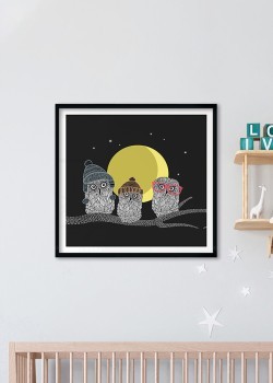 Κουκουβάγιες την νύχτα