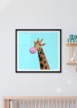 Giraffe with a gum