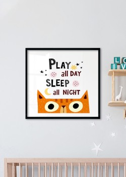 Πορτοκαλί γατούλα