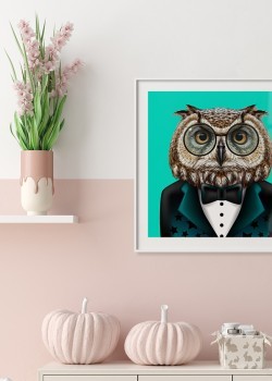 Κουκουβάγια με κουστούμι