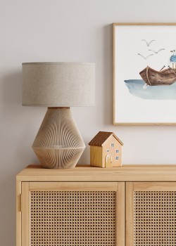 Γλάρος στην βάρκα