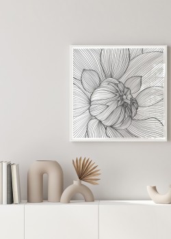 Ασπρόμαυρο Ανθισμένο Λουλούδι