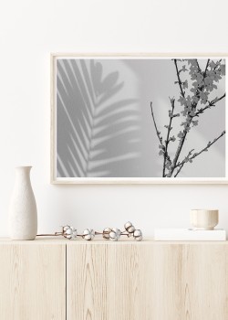 Φύλλο Φορσύθια σε άσπρο & μαύρο