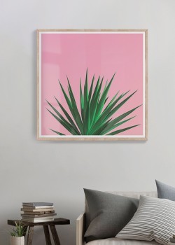 Φύλλα κάκτου