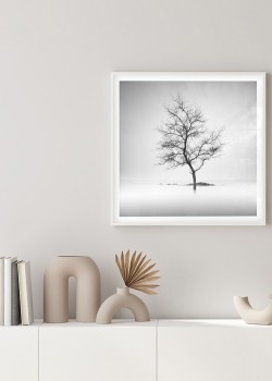 Δέντρο μέσα στην λίμνη