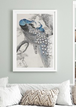 Μπλε παγώνια