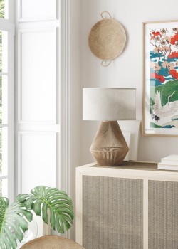 Cranes flying in spring