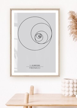 Σπείρα του Φιμπονάτσι