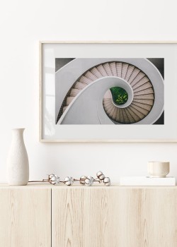 Σπειροειδής σκάλα