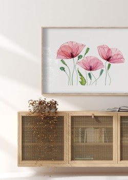 Ακουαρέλα λουλούδια παπαρούνας