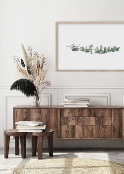 Κλαδί ευκαλύπτου