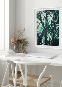 Δάσος με τροπικά φυτά