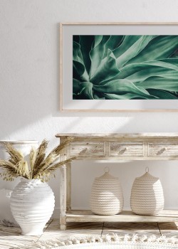 Φύλλα αγαύης