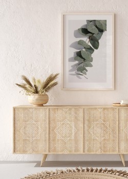 Φύλλα ευκαλύπτου