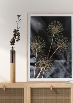 Ξερά λουλούδια alium