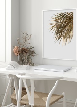 Ξερό φύλλο φοίνικα