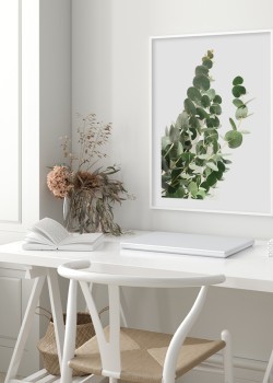 Πράσινα φύλλα ευκαλύπτου