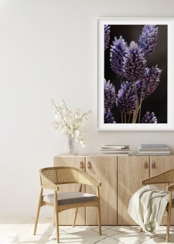 Μωβ κουκουνάρια