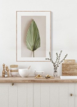 Πράσινο φύλλο φοίνικα