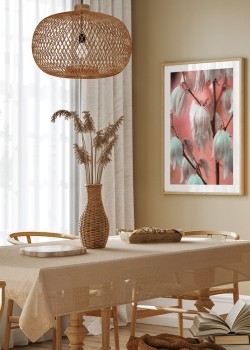 Όμορφα Λουλούδια