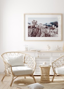 Λευκές τουλίπες