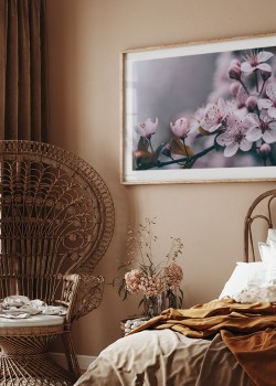 Ροζ άνθη κερασιάς