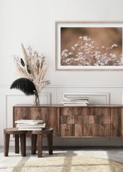 Ροζ αγριολούλουδα