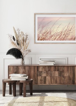 Φυτά στην ύπαιθρο