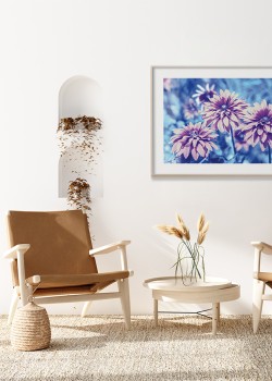 Μωβ αστέρες