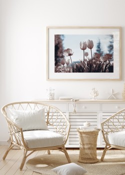 Ανθισμένες Ροζ Τουλίπες