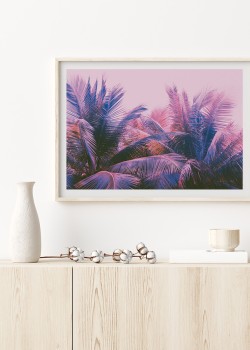 Φοίνικες σε μωβ φόντο