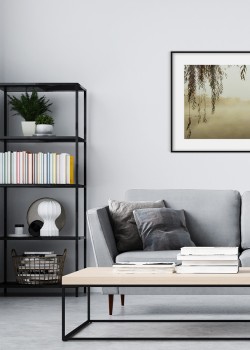 Πράσινα φύλλα στην ομίχλη