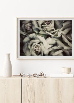 Μπουκέτο με λευκά τριαντάφυλλα