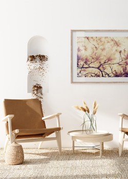 Λευκή μανόλια