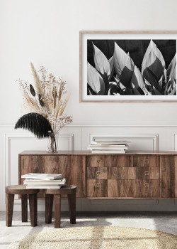 Μυτερά φύλλα με σταγόνες