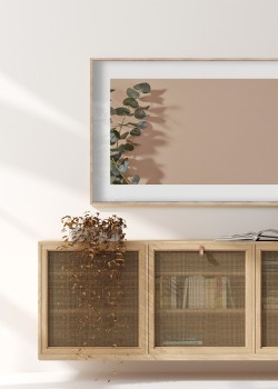 Σκιά πράσινου φυτού