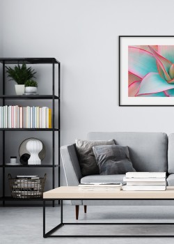 Μοντέρνα φύλλα αγαύης