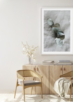 Ξερά τροπικά φύλλα