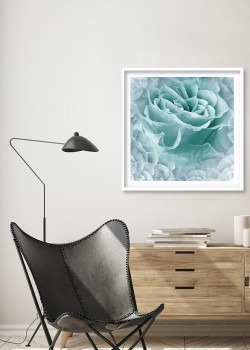 Τιρκουάζ τριαντάφυλλο