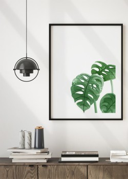 Πράσινα φύλλα monstera