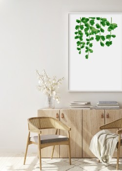 Πράσινα κρεμαστά φύλλα