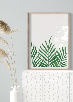 Πράσινα φύλλα φοίνικα