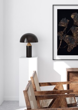 Ασημί Gingko biloba