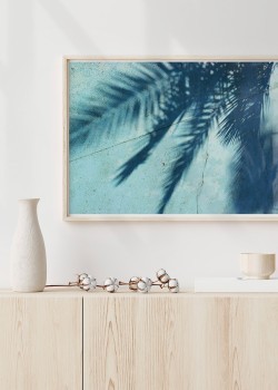 Σκιά φοίνικα