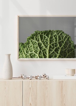 Φύλλο λάχανου