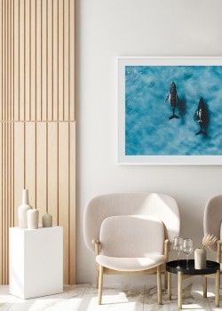 Φάλαινες στον ωκεανό